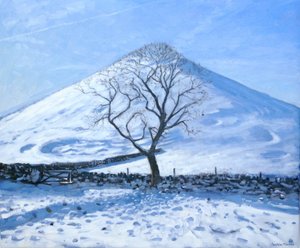 Hill and Tree, Derbyshire, 2008