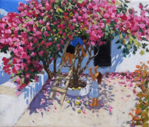 Picking lemons, Skiathos, Greece