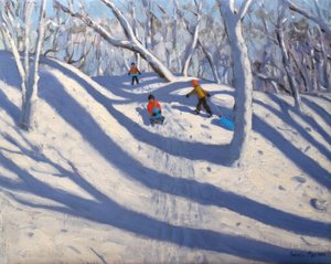 Winter, Bramcote, Nottingham, 2009