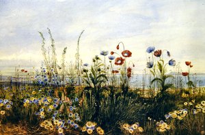 A View of Kingstown and Dublin Bay by Andrew Nicholl
