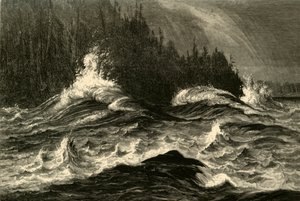 The Whirlpool