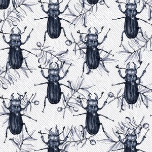 Stag Beetles, 2017 by Andrew Watson