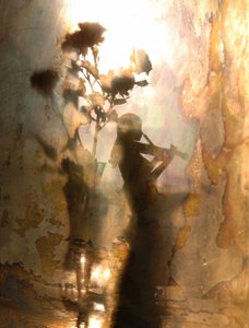 Ethereal Violinist and Roses by Andrey Morozov