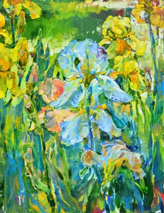 Vibrant Iris Garden by Andrii Kutsachenko