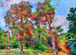 Vibrant Pine Forest