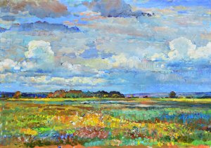 Vibrant Sky Over Fields