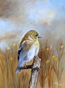 Autumn Finch Perch by Angeles M. Pomata
