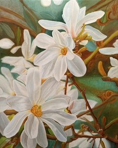 Blooming White Magnolia by Angeles M. Pomata