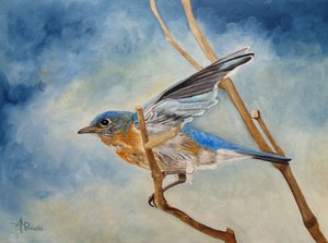 Bluebird Takes Flight