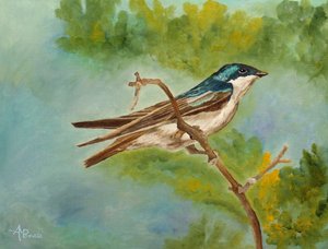 Colorful Perched Swallow