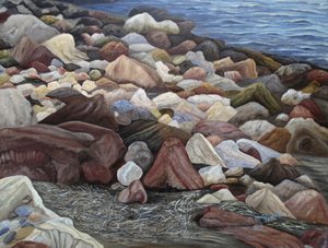 Colorful Shore Stones