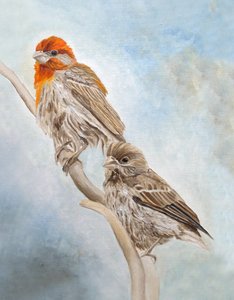 Finches On A Branch by Angeles M. Pomata