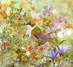 Hummingbird Garden Flowers