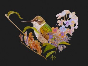 Hummingbird Heart Flowers