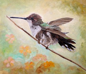 Hummingbird on Branch