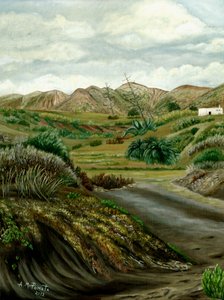 Peaceful Desert Valley