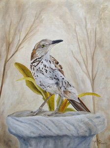 Peaceful Garden Thrasher by Angeles M. Pomata