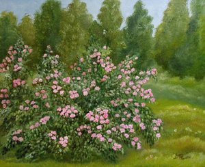 Peaceful Rose Garden by Angeles M. Pomata