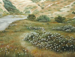 River Bend Wildflowers