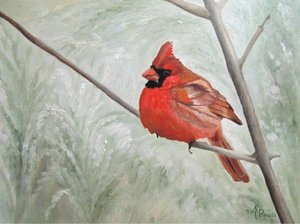 Serene Winter Cardinal