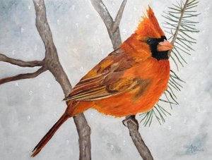 Snowy Red Cardinal
