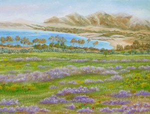 Spring Meadow Bay