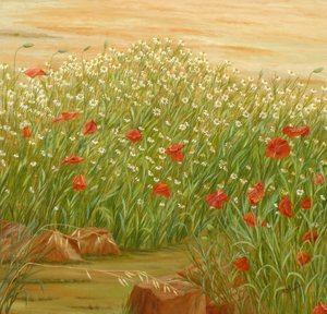 Summer Poppies Daisy Field