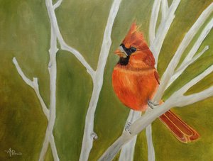 Vibrant Cardinal Perched
