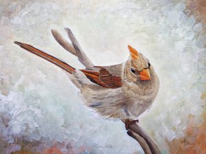 Watchful Female Cardinal