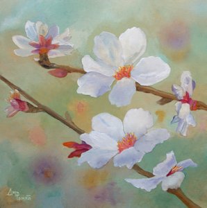 White Almond Blossoms by Angeles M. Pomata