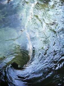 Deep Water Swirl by Angelo Cerantola