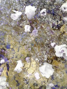 Dreamy Floral Reflections by Angelo Cerantola