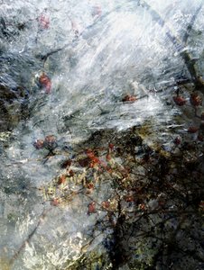 Frozen Winter Berries by Angelo Cerantola