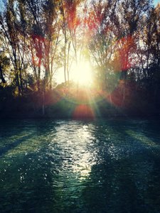 Golden River Sunlight by Angelo Cerantola