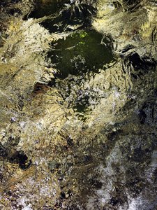 Golden Water Shimmer by Angelo Cerantola