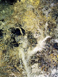 Liquid Gold (3) by Angelo Cerantola
