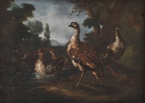 Landscape with Birds