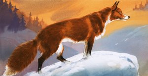 Fox in the Snow by Angus McBride