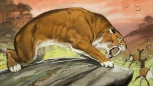 Sabre-toothed Tiger Out Hunting by Angus McBride