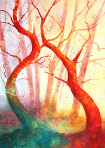 Enchanted Forest Glow by Ania Witwitzka