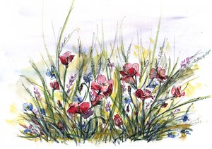 Vibrant Poppy Meadow