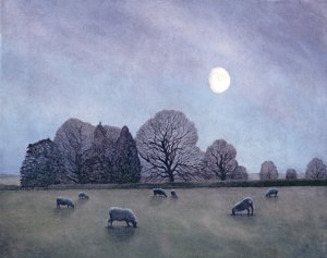 Moonlit Night by Anna Phillips