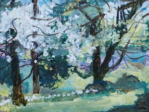 Blossom Trees, Paxton