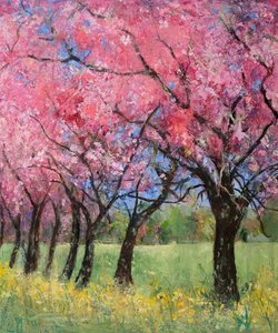 Cherry Blossom in the Meadow, 2022