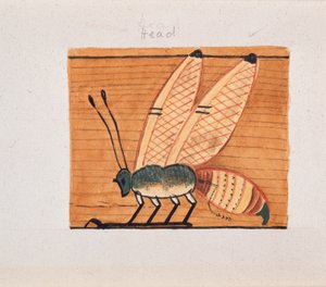 Copy of wall painting, tomb of Mentuhotpe, Thebes by Anna