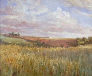 The Cornfield