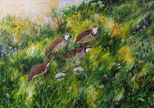 Long Grass, 2022