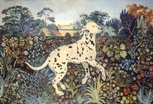 Sophie by Anna Pugh