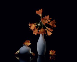 Vivid Orange Still Life by Anna Qu