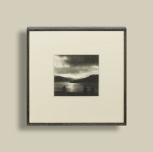 Shoreline by Anne Magill